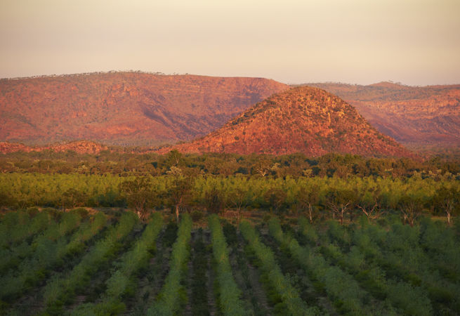 0331 Tfs Kununurra 20120530