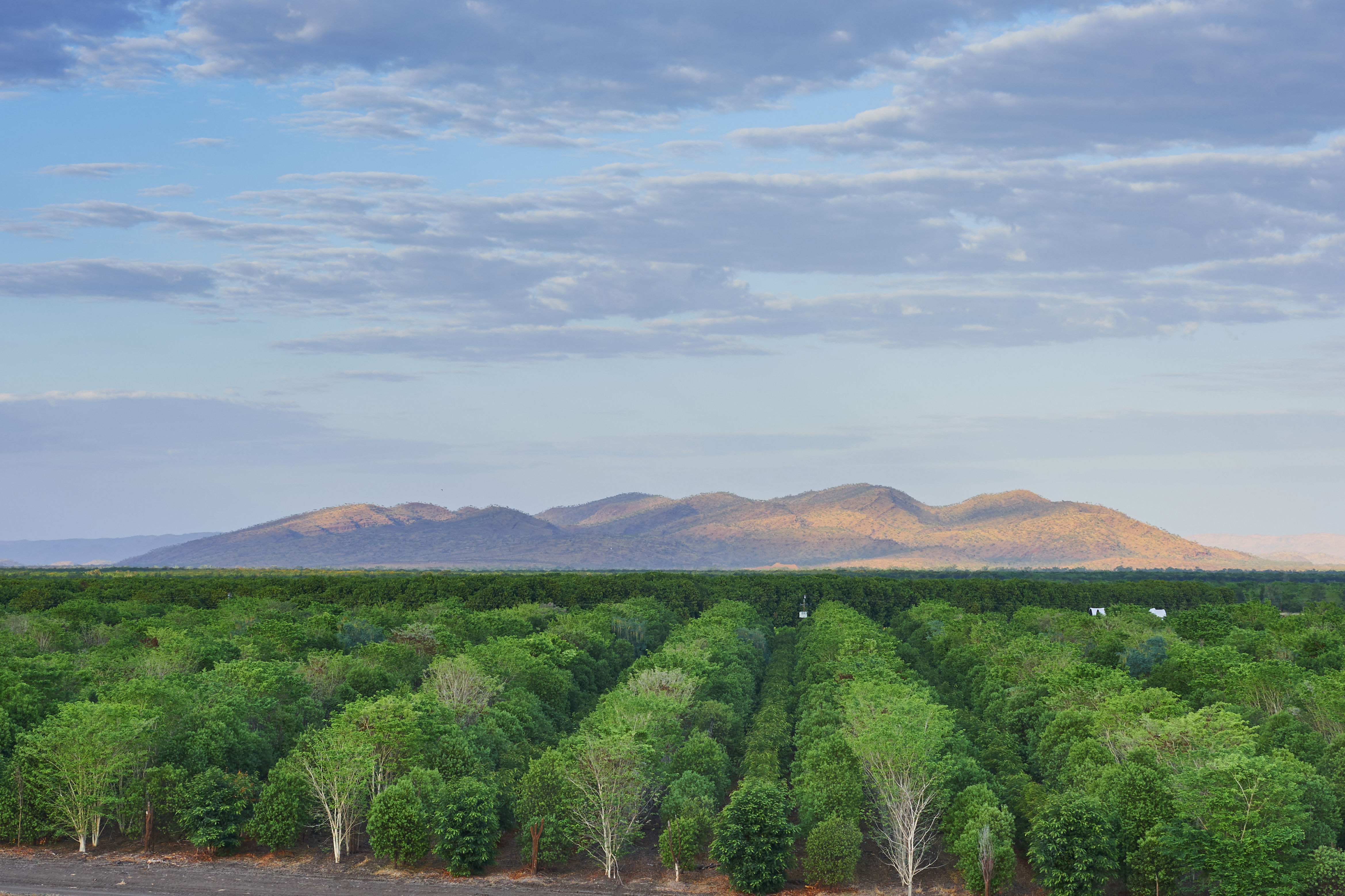 026 20151012 Tfs Kununurra