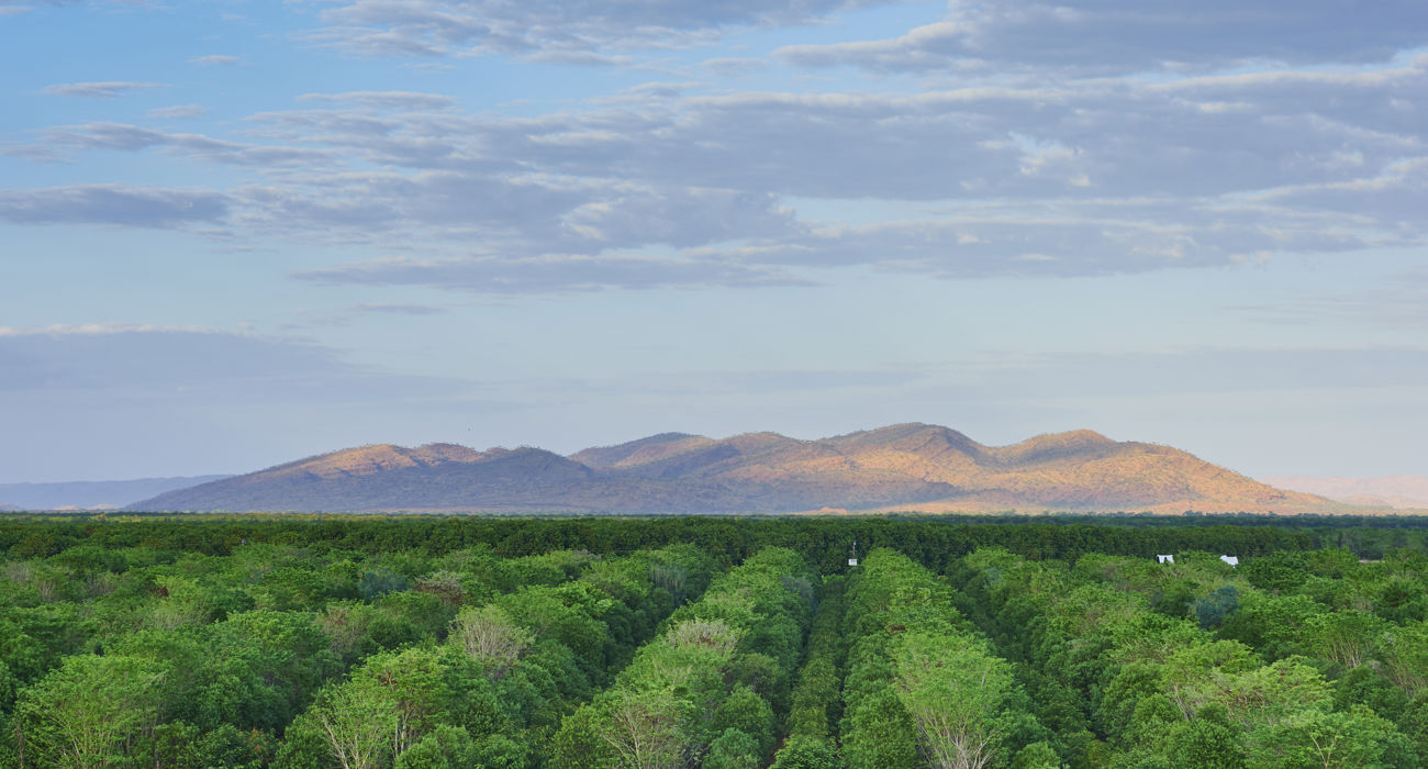 026 20151012 Tfs Kununurra