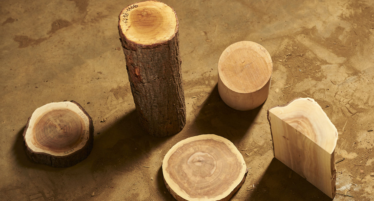 054 20210714 Quintis Albany