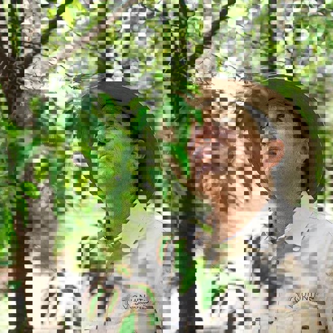 Quintis Day 3 Print 74