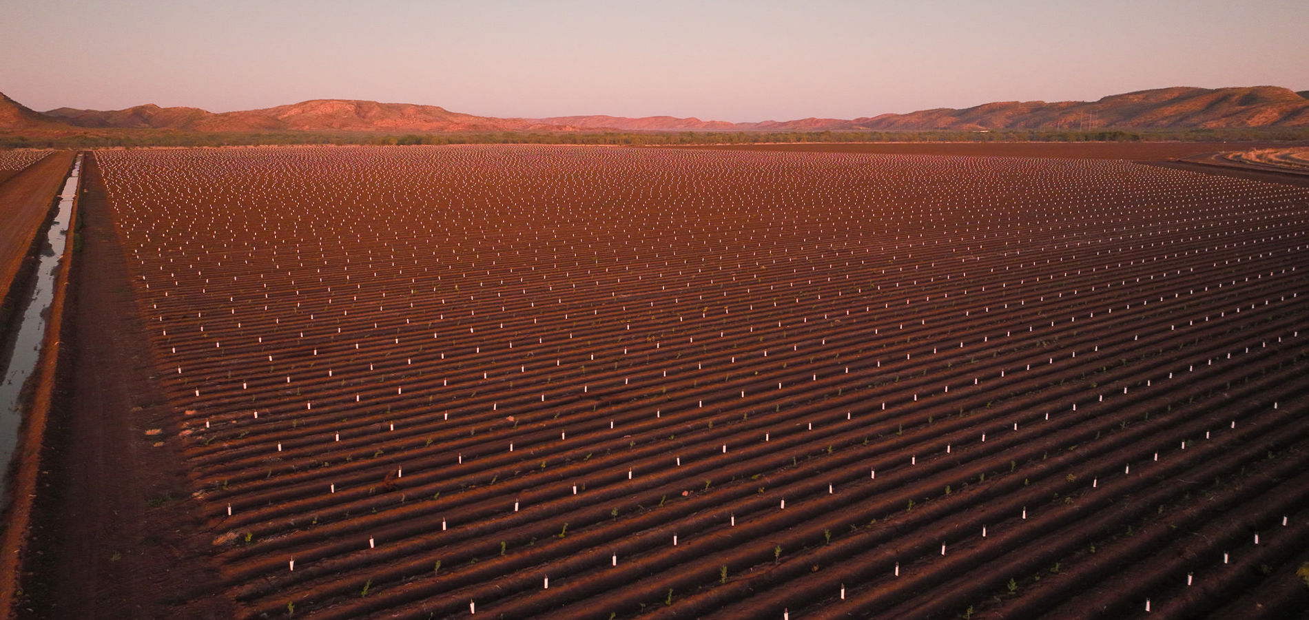 2022 Packsaddle Planting Dji 0280