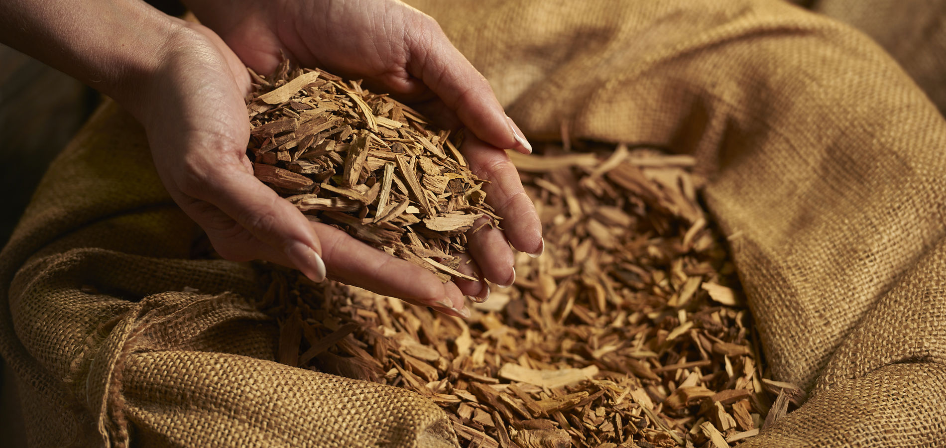 015 20210714 Quintis Albany