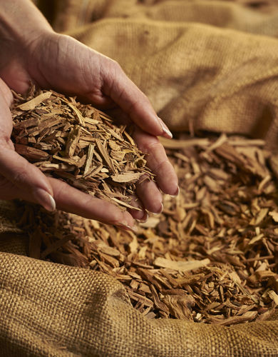 015 20210714 Quintis Albany