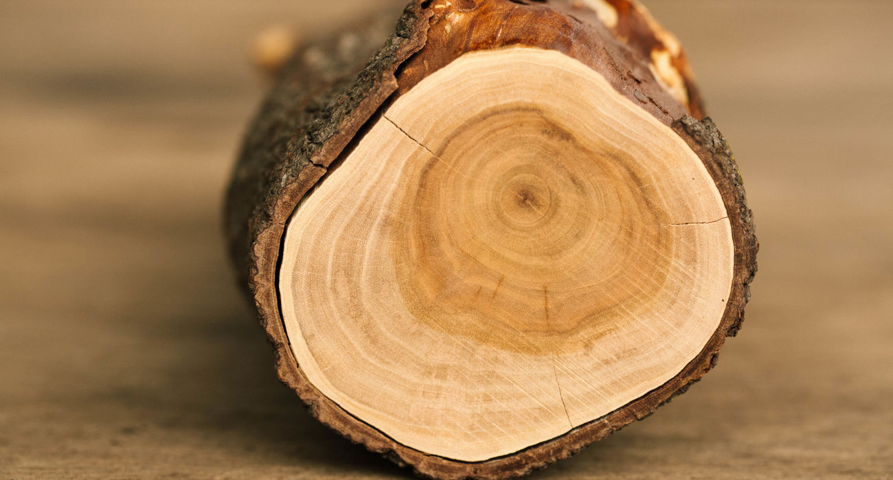 Quintis Day 1 Web 140