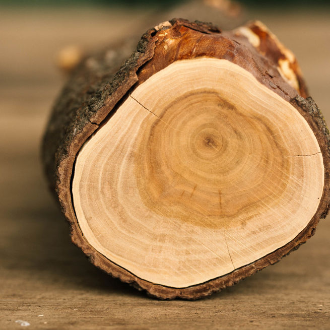 Quintis Day 1 Web 140