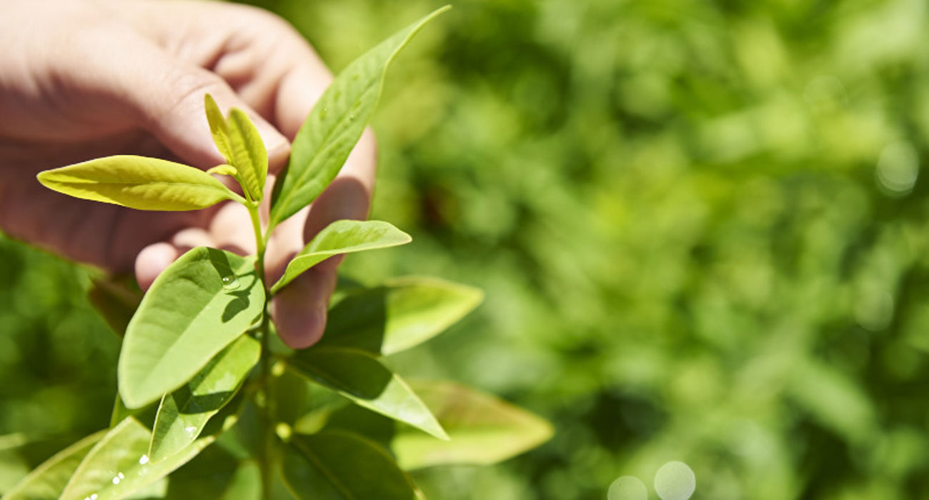 248 20150619 Tfs Katherine