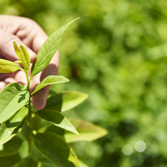 248 20150619 Tfs Katherine