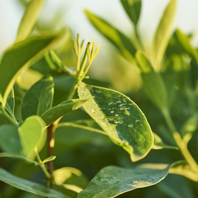 079 20150619 Tfs Katherine