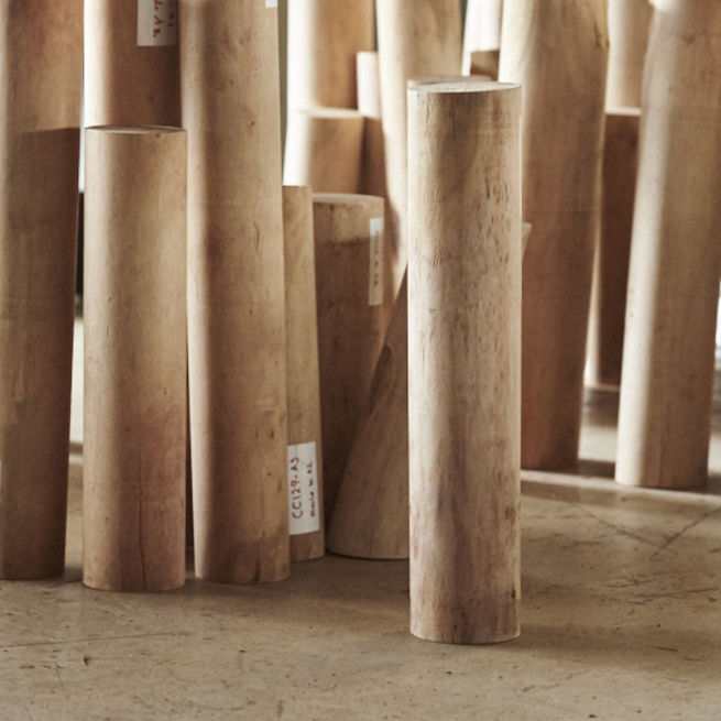 388 20161101 Tfs Kununurra Plantations Nursery Ppc