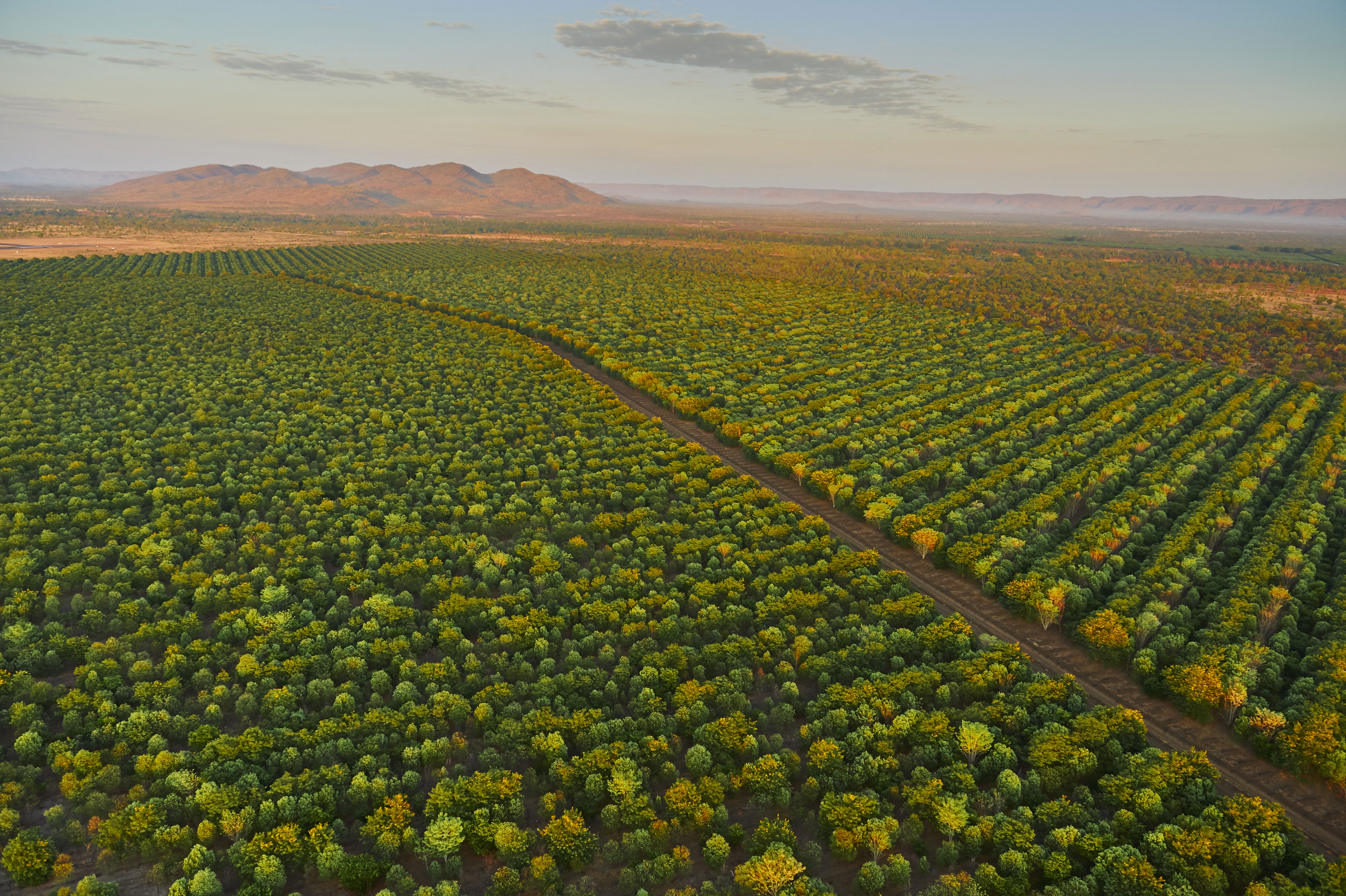 007 20151012 Tfs Kununurra Aerials