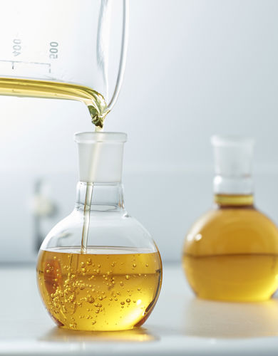 263 20210714 Quintis Albany