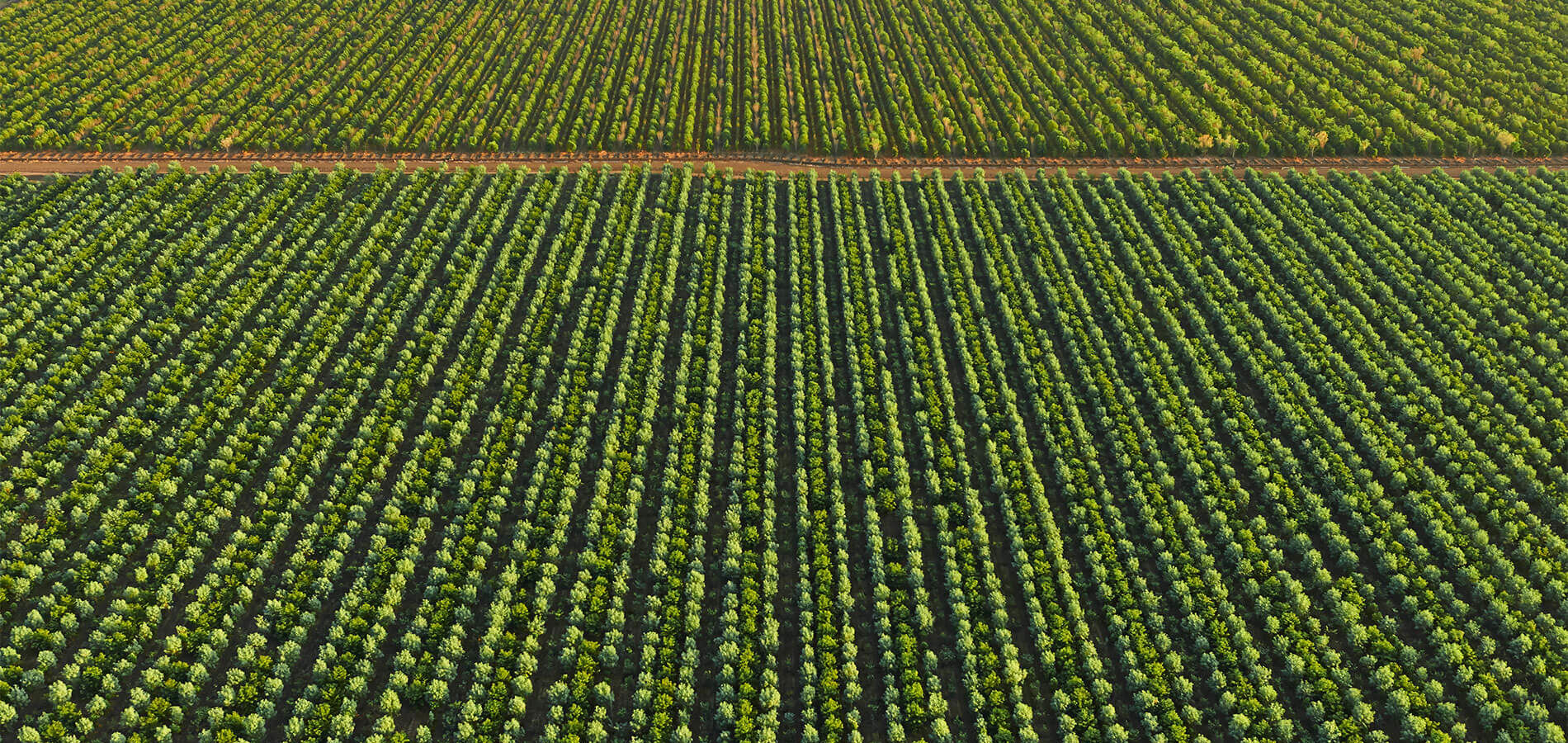 058 20151012 Tfs Kununurra Aerials