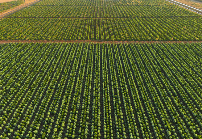058 20151012 Tfs Kununurra Aerials